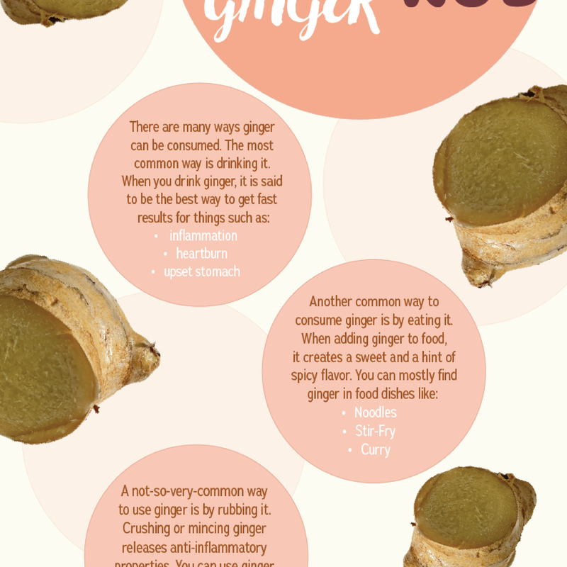 3 of 3 
Ginger poster series, final project
(Ginger photos taken by me)