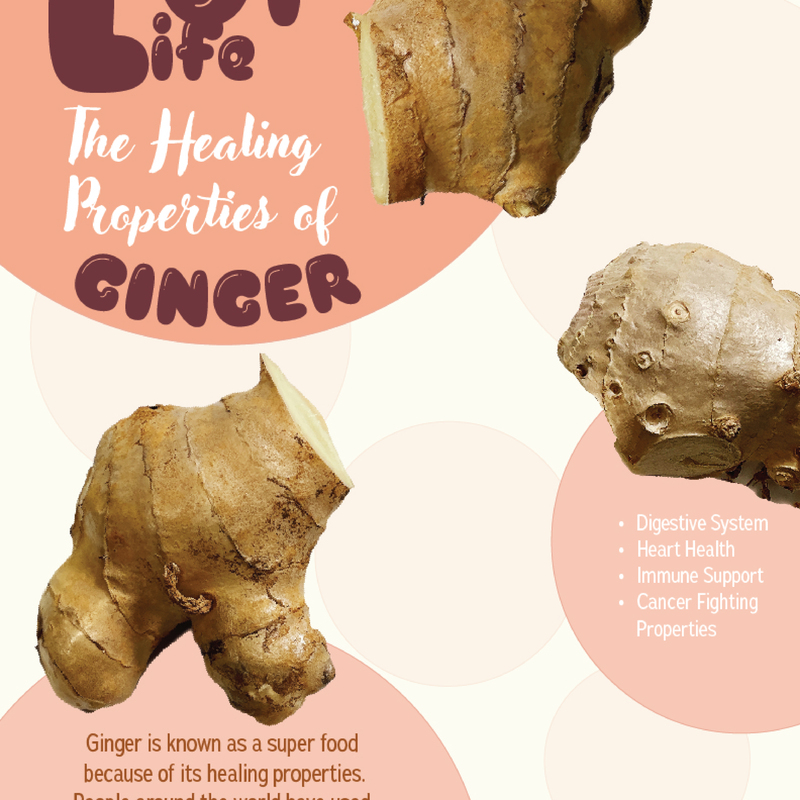 1 of 3 
Ginger poster series, final project
(Ginger photos taken by me)